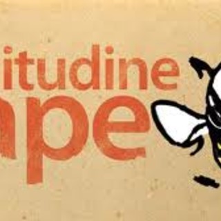 Savona, teatro: "La solitudine dell'ape"