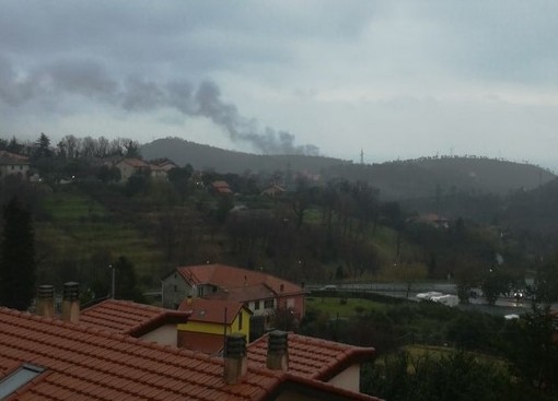 Camion in fiamme sulla A10, tra Varazze e Arenzano Camion in fiamme sulla A10, tra Varazze e Arenzano