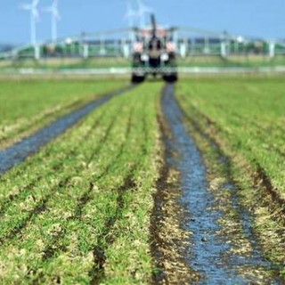 Puc di Albenga, Confagricoltura Savona: "Non si può dimenticare il ruolo primario dell’agricoltura nell’economia della piana"