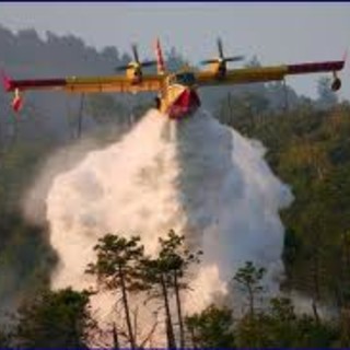 Attivato un Numero Verde antincendi boschivi: 800 - 807047. Ma altre sono le priorita' per i Vigili del Fuoco