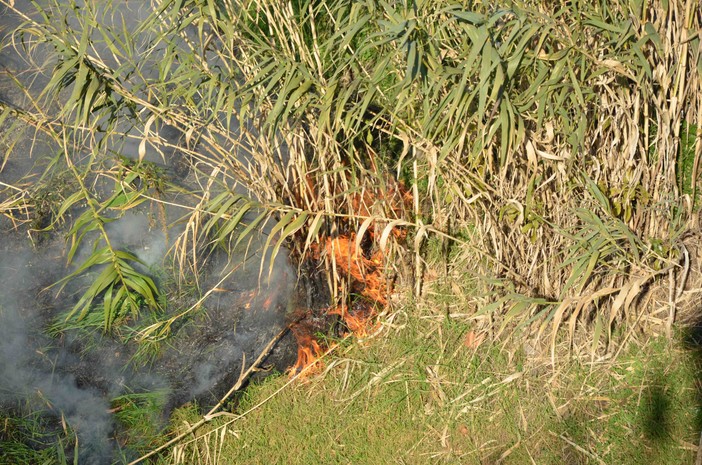 Principio di incendio in via N.S. degli Angeli a Savona, l'intervento dei Vigili del Fuoco mette in fuga chi stava bruciando sterpaglie