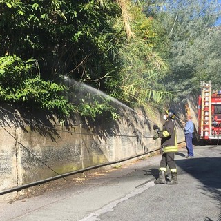 Celle Ligure: incendio sterpaglie in via Ravezza (FOTO e VIDEO)