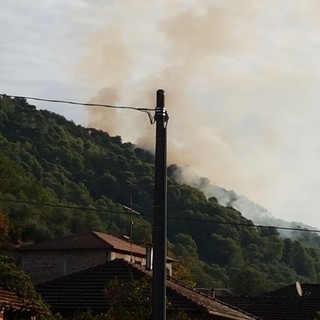 Stellanello, spento l'incendio boschivo in località Bossaneto: continua il presidio della zona