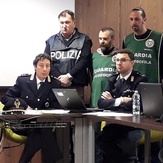 Foto comunicato stampa