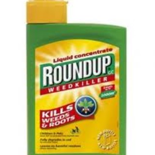 Diserbanti al posto di tagliaerba a Castelbianco: le analisi della Polizia Ecozoofila