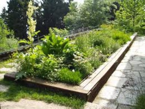 Vado: “Adotta un Aiuola” (prima che lei adotti te)