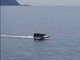 L'incredibile "avvistamento": Jeep d'acqua nel Mar Ligure (VIDEO)