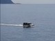 &quot;Jeep d'acqua&quot; avvistata al largo di Sori: l'insolito natante paparazzato nelle acque del Mar Ligure (Video)