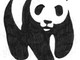 L'appello del WWF di Savona: "Aderite all'Ora della Terra"