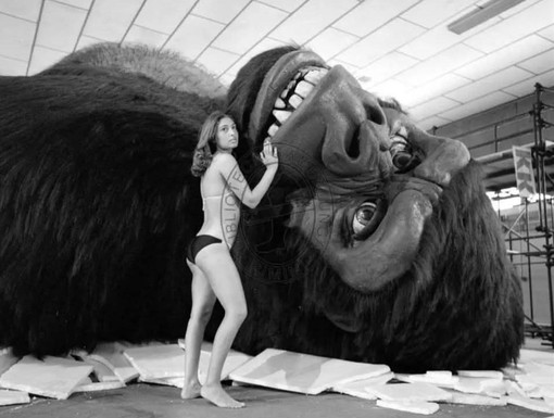 King Kong e l'arrivo da New York in nave: fece sosta in porto a Savona