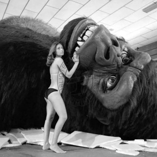 King Kong e l'arrivo da New York in nave: fece sosta in porto a Savona