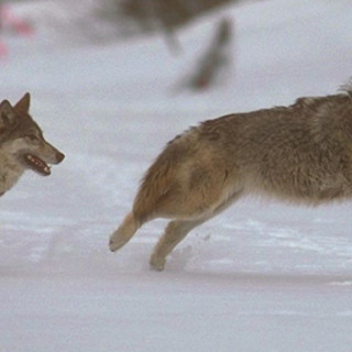 Il punto sulle ultime ore