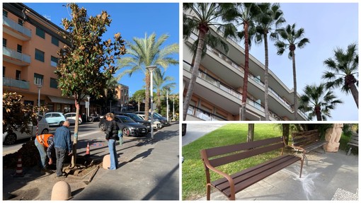 Finale, tempo di manutenzione sul lungomare di Marina: focus sul verde e nuove panchine