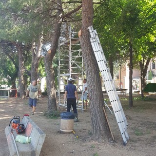 Leca d'Albenga: “Castagne in Pineta”per il progetto Leuca