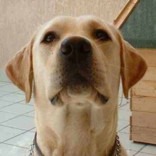 Immagine di repertorio