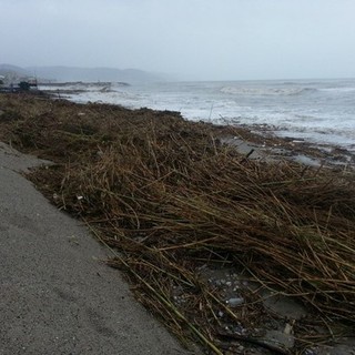 Immagine di repertorio