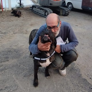 Luigi e i suoi cani trovano una sistemazione: il camper potrà sostare ad Albissola