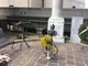 Danneggiamento lapide del Cimitero di Zinola, Franco Astengo: "Atto vandalico da condannare"