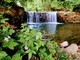 Foto dalla pagina Facebook "Wild Adelasia" Foto dalla pagina Facebook "Wild Adelasia"