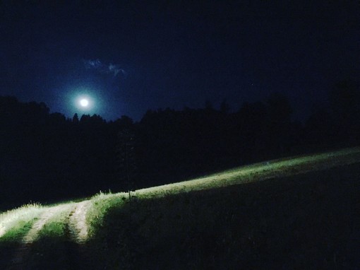 Foto di Anna Sacco