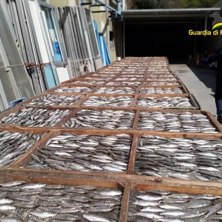 La Finanza sequestra 1.500 kg di prodotti avariati o scaduti: denunciati due commercianti