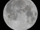 Savona, venerdi aperitivo astronomico per l'eclissi di Luna