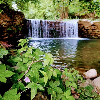 Foto dalla pagina Facebook "Wild Adelasia"