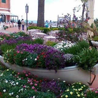 La primavera è esplosa a Laigueglia: grande festa dei profumi per il ponte del 25 aprile