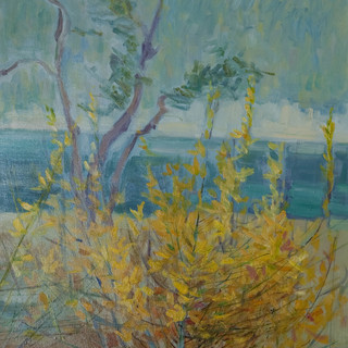 Savona, sabato inaugurazione della mostra Antologica di Rita Spirito