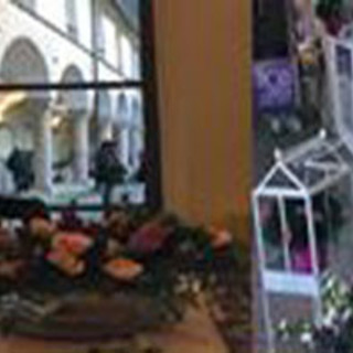 Finale Ligure: nasce da un fiore un nuovo programma contro la violenza