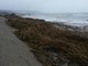 Regione, il materiale legnoso portato dal mare sulle spiagge non è più considerato rifiuto