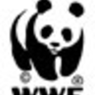 "La zona IT0705", il WWF Savona replica alle dichiarazioni del Sindaco di Cairo Montenotte