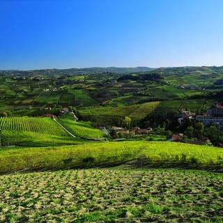 L’Associazione "Amicissia Piemonteisa" presenta la prima edizione del Premio letterario “Cipressa”