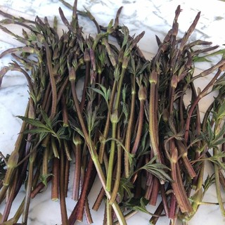 La nostra lettrice Marisa Galliano è andata a raccogliere i luvertin e ce li mostra