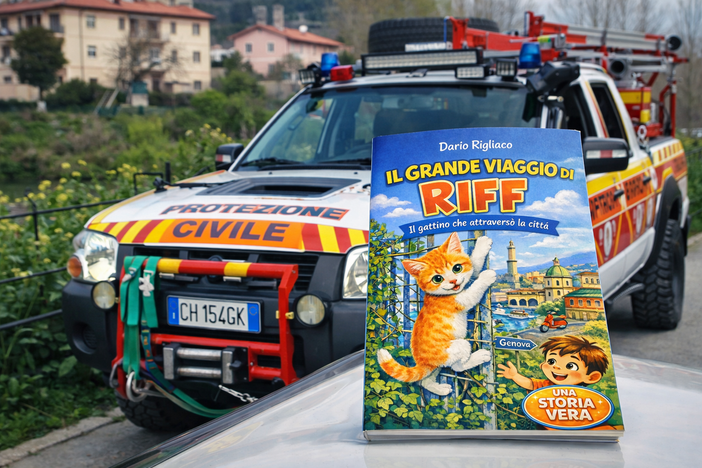 La storia di Riff, il gattino che ha attraversato Genova, diventa un libro La storia di Riff, il gattino che ha attraversato Genova, diventa un libro