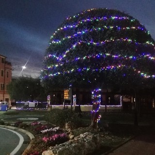 Albisola, illuminata la piazza della residenza protetta comunale "SS Nicolò e Giuseppe" Albisola, illuminata la piazza della residenza protetta comunale "SS Nicolò e Giuseppe"
