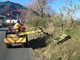 Albenga, interventi in città con il personale comunale