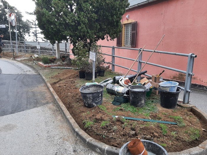 Albissola, scattano i lavori di riqualificazione del verde: interventi su tre aiuole principali (FOTO) Albissola, scattano i lavori di riqualificazione del verde: interventi su tre aiuole principali (FOTO)