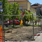 Dego, polemica sui social per l’abbattimento di alcuni alberi in piazza Botta Dego, polemica sui social per l’abbattimento di alcuni alberi in piazza Botta