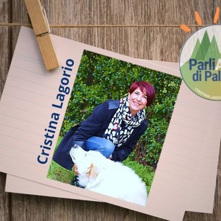 Cristina Lagorio presenta la lista "ParliAMO di PallaRE": "Grande competenza in diversi ambiti"