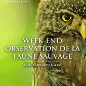 Tende, un weekend alla scoperta degli animali selvatici nel Mercantour Tende, un weekend alla scoperta degli animali selvatici nel Mercantour