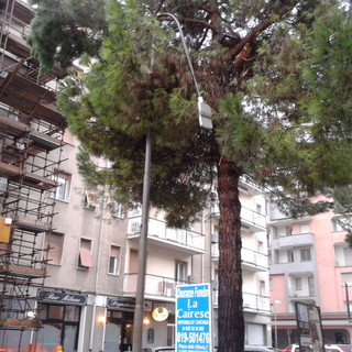 Cairo, lampione pericolante in via Baccino: la segnalazione di un cittadino (FOTO)