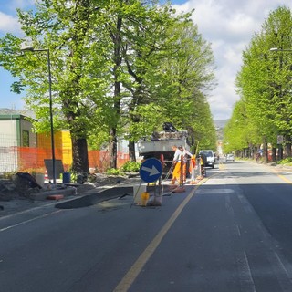 Savona, guasto rete fognatura in corso Ricci, assessore Santi: "A breve la circolazione riprenderà regolarmente"