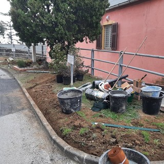 Albissola, scattano i lavori di riqualificazione del verde: interventi su tre aiuole principali (FOTO)
