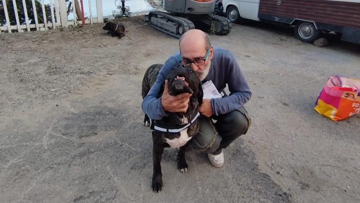 Luigi e i suoi cani trovano una sistemazione: il camper potrà sostare ad Albissola