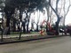 Alberi tagliati in piazza del Popolo a Savona: la Pongiglione chiede una commissione ad hoc
