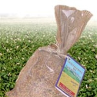 Un sacchetto di lenticchie in vendita