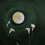 Piccola e magica, la Microluna dei Fiori del 1° maggio sarà la più lontana dell’anno