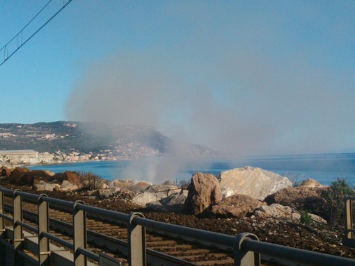 Pietra Ligure, iniziata la pulizia delle spiagge dal legno alluvionale Pietra Ligure, iniziata la pulizia delle spiagge dal legno alluvionale