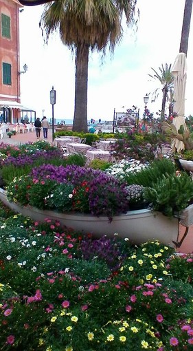 La primavera è esplosa a Laigueglia: grande festa dei profumi per il ponte del 25 aprile